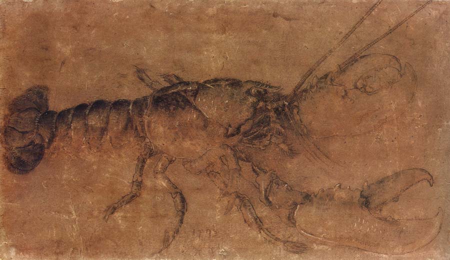 A Lobster